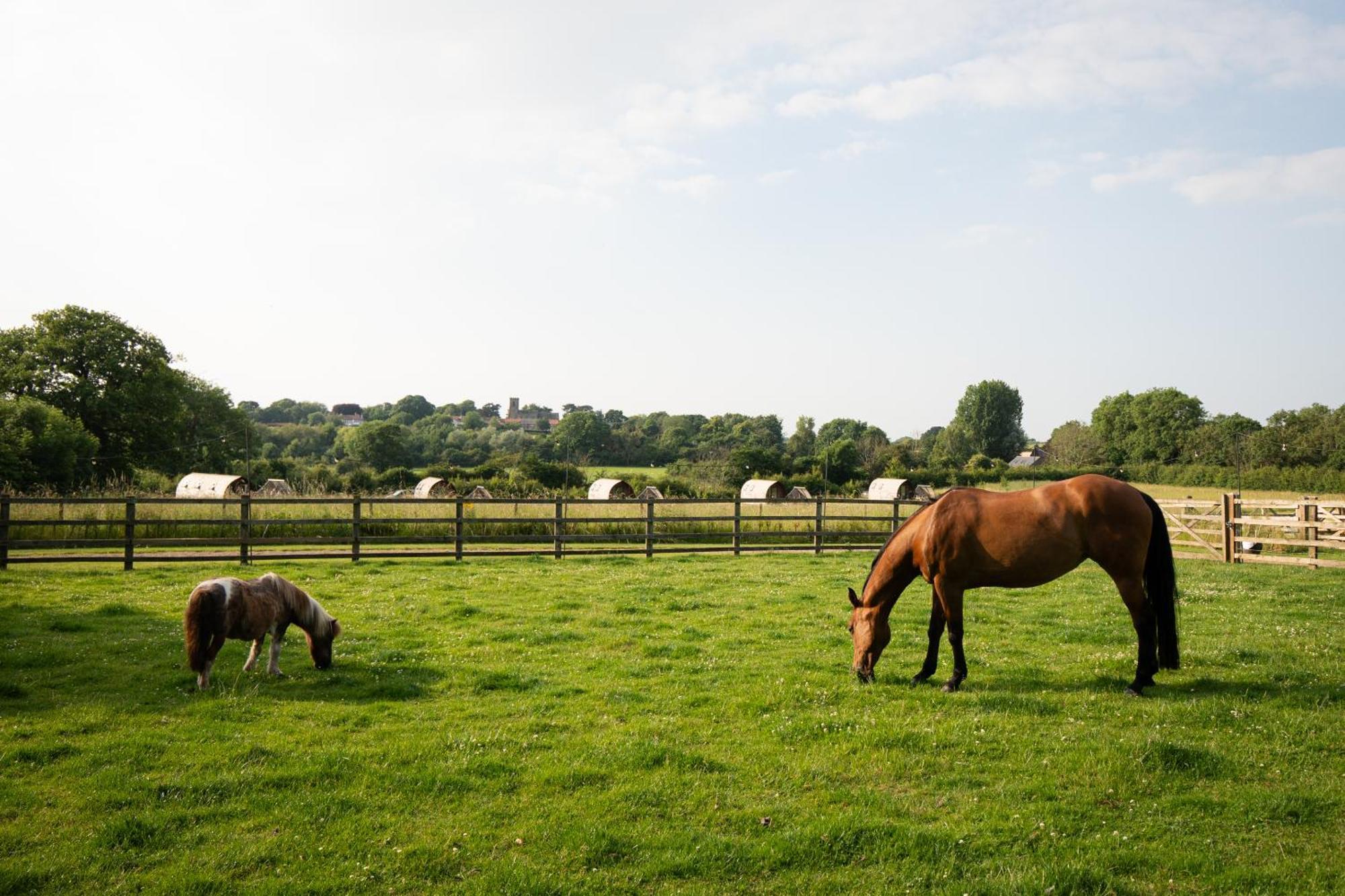 Sedgewell Barn By Wigwam Holidays Northallerton Eksteriør billede