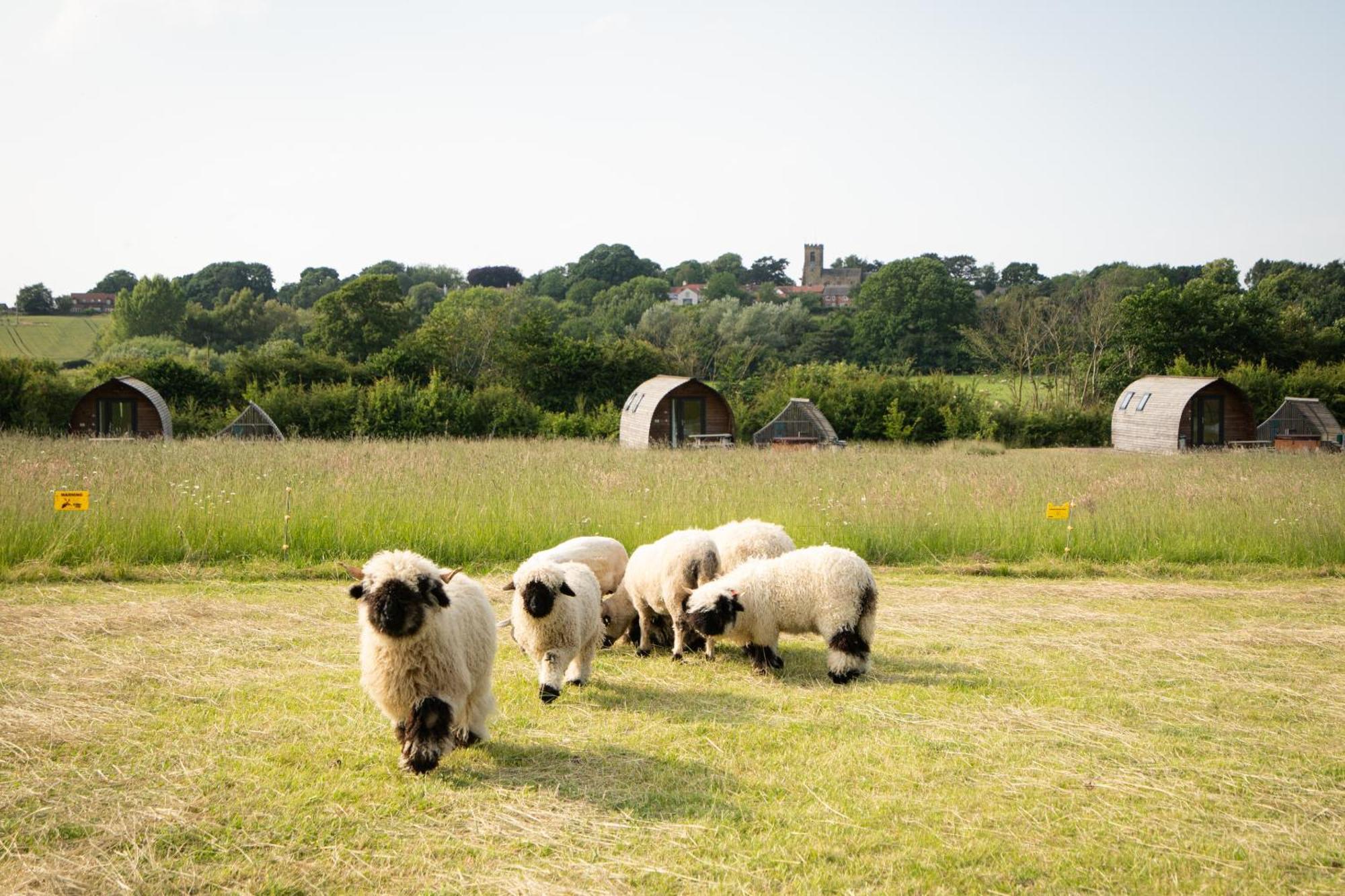 Sedgewell Barn By Wigwam Holidays Northallerton Eksteriør billede
